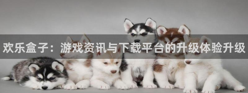 手机版星欧娱乐客户端下载：欢乐盒子：游戏资讯与下载平台的升级