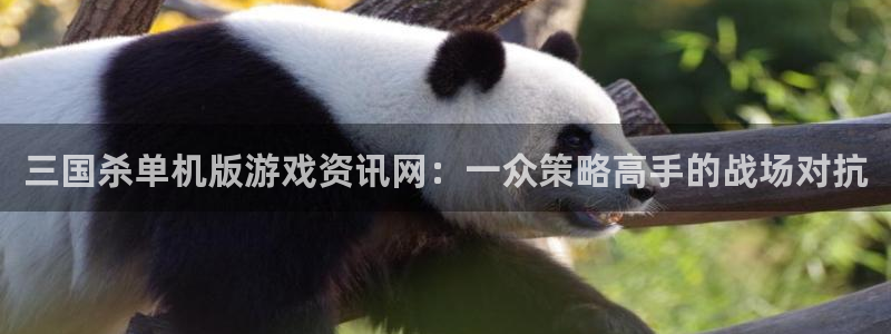 星欧娱乐是什么平台公司：三国杀单机版游戏资讯网：一众策略高手